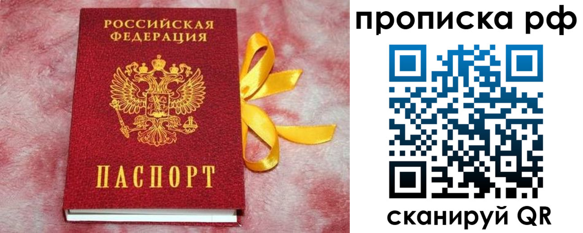прописка для работы в Щёлково